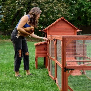 Chicken Coop for 4 Chickens – Leghorn Cottage Chicken Coop