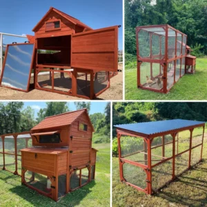 BUNDLE: Rhode Island Chicken Coop + Run Extension + Run Roof